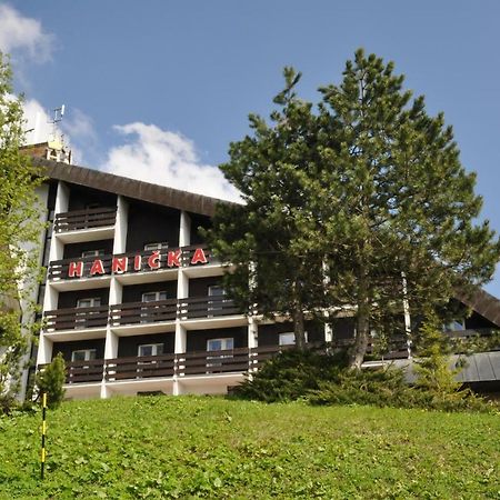 Horsky Hotel Hanicka Špindlerŭv Mlýn Exterior foto