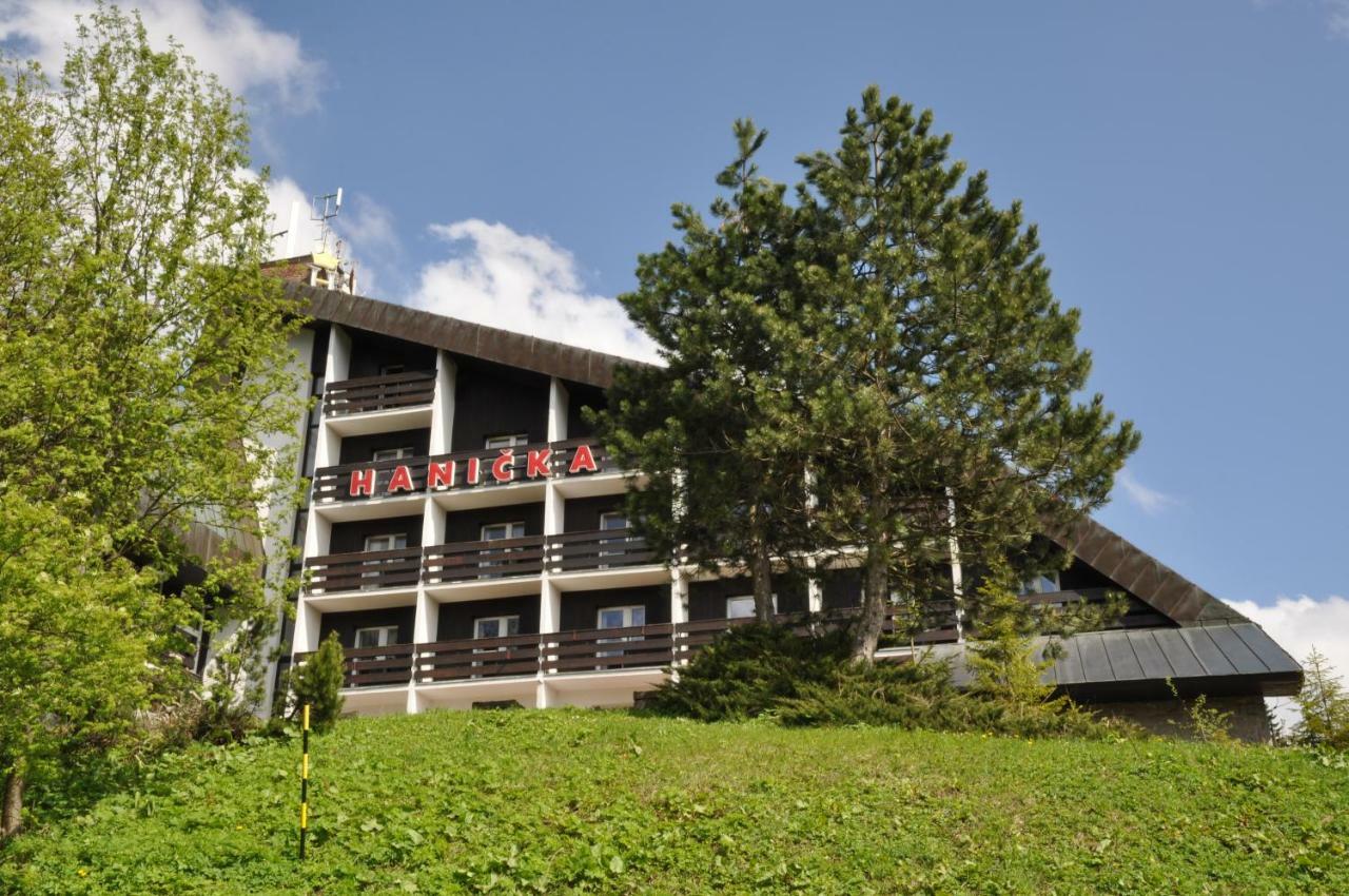 Horsky Hotel Hanicka Špindlerŭv Mlýn Exterior foto